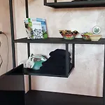 Jabaki